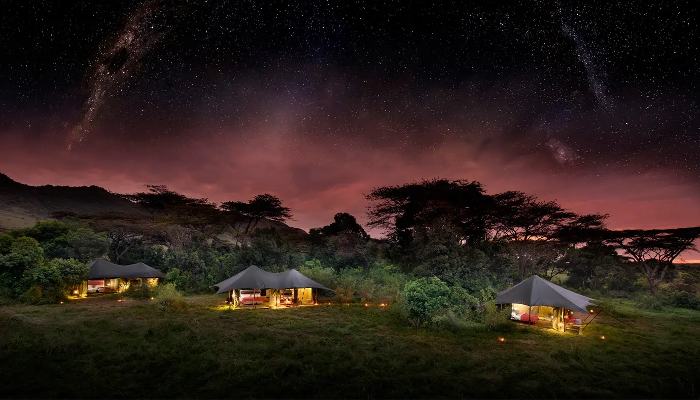 Lantern-lit safari tents beneath a star-filled African night sky