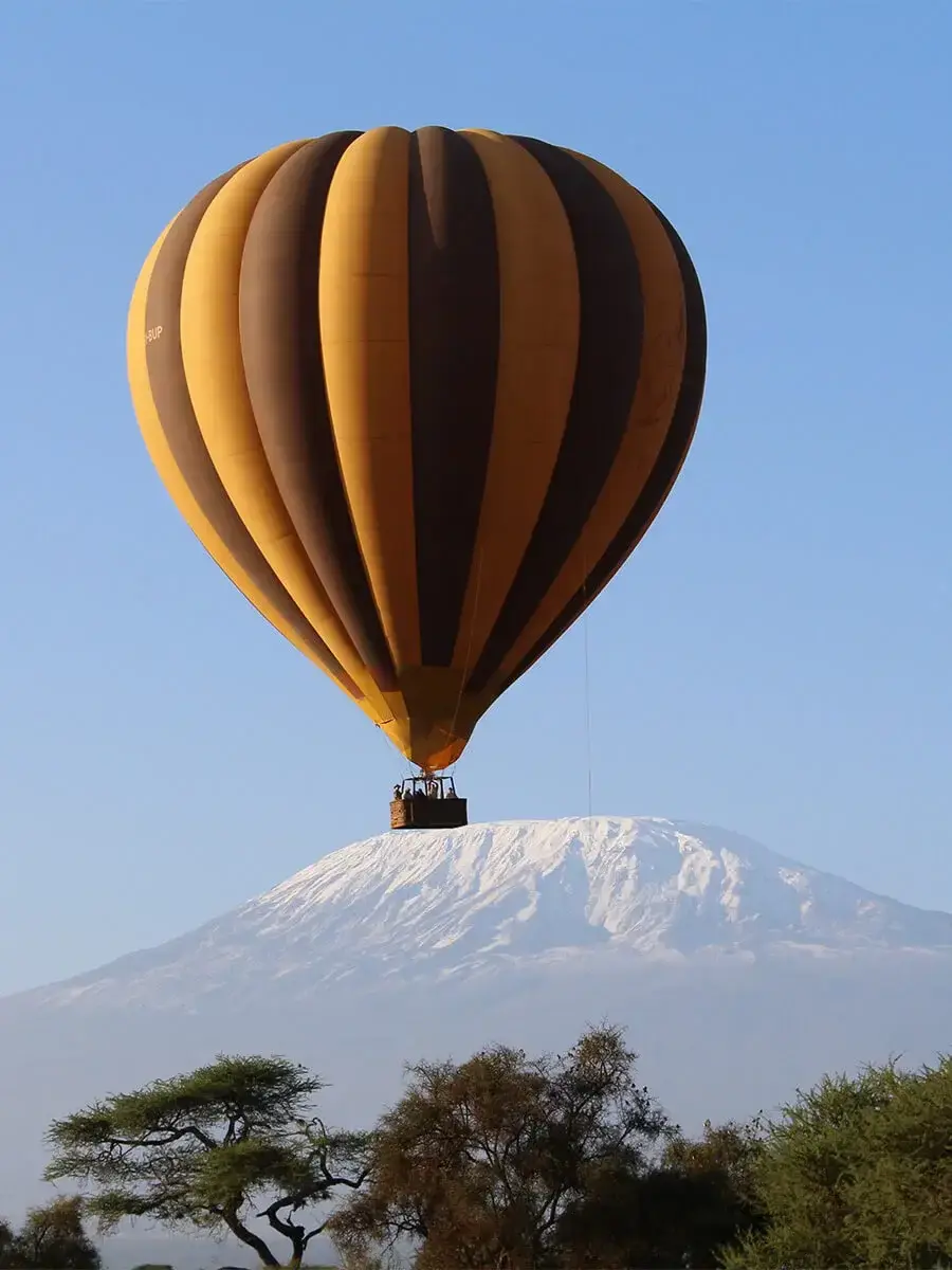 A hot-air balloon drifting in front of snow-capped Kilimanjaro
